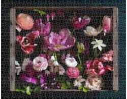 Chronicle Books 60031 - Cultivated - 1000 db-os puzzle (60031)