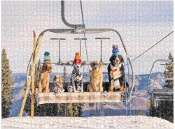 Galison 83807 - Aspen, Gray Malin - 1000 db-os puzzle könyv alakú dobozban (83807)