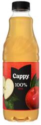 Cappy Pet 1. L F. K. Alma 100% (drs)