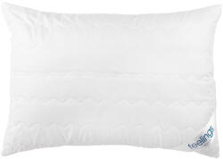 Billerbeck Feelings by Billerbeck Hypoallergén kispárna, 36x48 cm