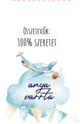 Takoy Ruhacímke 10 darabos készlet- anya varrta trains/ vonat- repülőgép