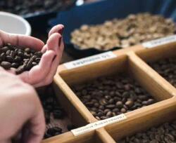  Speciality Barista Tanfolyam