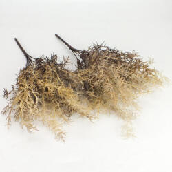  Szárazvirág hatású aszparágusz csokor dohánybarna 2db/csomag - csinaldmagadshop