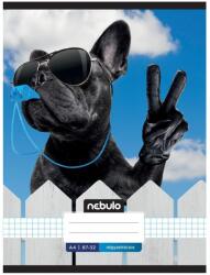 Nebulo Füzet, A4, kockás, 87-32, Xtreme minták, 12 db/csomag Nebulo