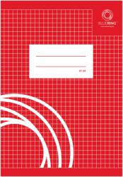 BLUERING Füzet iskolai A5, 32lap, kockás 27-32 Bluering®