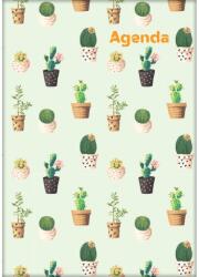 Dayliner Határidőnapló Colors A5 napi, fehér lapokkal Cactus Dayliner 2026 - suplix
