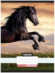 Nebulo Füzet, A4, kockás, 87-32, L-Design minták, 12 db/csomag Nebulo