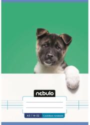 Nebulo Füzet, A5, 1. osztályos vonalas, 14-32, Vagány minták, 16 db/csomag Nebulo
