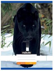 Nebulo Füzet, A4, sima, 80-32, Állatos minták, 12 db/csomag Nebulo