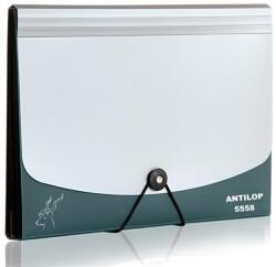 ANTILOP Irattartó mappa, harmonikamappa, 12 rekeszes, műanyag Antilop, zöld - suplix