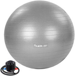 MOVIT Mingea de gimnastică MOVIT cu pompă de picior, 55 cm, gri (20040822) Minge fitness