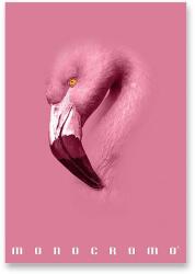 Pigna Monocromo Pink A4-es, varrott, vonalas, véletlenszerű minta (0233012 1R)