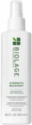 Matrix Strength Recovery Repairing Spray 250 ml