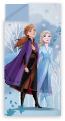 Brandmac Disney Jégvarázs hálózsák takaró snow 70x140cm (BRM015401)