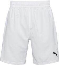 PUMA Teamfinal Shorts (70507604)