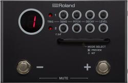 Roland TM-1 Modul (TM-1)
