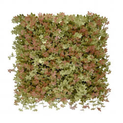 Mirpol Jiaogulan műanyag zöldfal 50x50 cm (5905610253486) - leziter