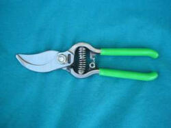  Szüretelőolló hajlított 428GC (10 db/doboz) (PE-3320)