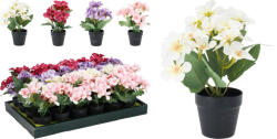 Művirág - Kankalin 4 fajta színben, cserépben 13X20CM (317354310) (PE-8452)