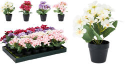  Művirág - Kankalin 4 fajta színben, cserépben 25X35CM (317354320) (PE-8268)