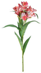  Művirág - Inkaliliom - szálas 80cm (318800330) (PE-8358)