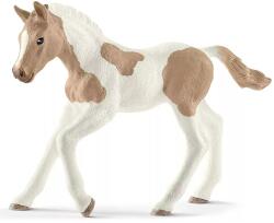 Schleich Schleich: Figurina mânz cal Paint (13886) (SLH13886) Figurina