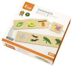 Viga Toys Növények és állatok fejlődési fázisai