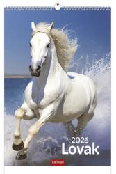 TopTimer Falinaptár TOPTIMER T094 220x330mm álló Lovak 2026 (T9400-07A) - robbitairodaszer