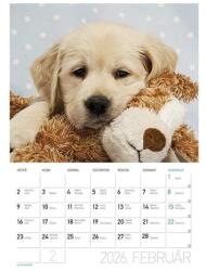 Lizzy card Falinaptár LIZZY CARD A/4 álló Kutyák 2026 (21697)