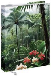 Realsystem Zsebnaptár REALSYSTEM 2 Day B/6 kétnapos álló fehér lapos Orchidea 2026 (5441-63) - robbitairodaszer