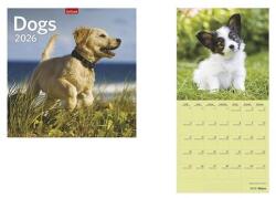 TopTimer Falinaptár TOPTIMER T098 290x580mm álló Dogs 2026 (T9800-06A) - robbitairodaszer