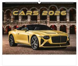 TopTimer Falinaptár TOPTIMER T092 450x315mm fekvő Cars 2026 (T9200-10F)