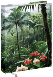 REALSYSTEM Zsebnaptár REALSYSTEM 2 Day B/6 kétnapos álló fehér lapos Orchidea 2026 (5441-63) - papir-bolt