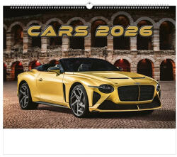 TopTimer Falinaptár TOPTIMER T092 450x315mm fekvő Cars 2026 (T9200-10F) - papir-bolt