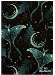 Lizzy Card Határidőnapló LIZZY CARD B/6 napi keménytáblás Moth and moon 2026 (21784) - fotoland