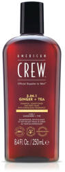 American Crew 3 IN 1 ENERGIZING 250ml - hajvagogepek