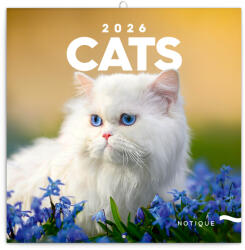 Realsystem Cats, képes lemeznaptár 2026