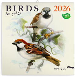 Realsystem Birds in Art, képes lemeznaptár 2026