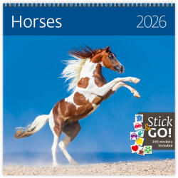 Dayliner Horses LP, képes lemeznaptár 2026