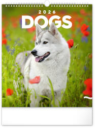 Realsystem Dogs, képes falinaptár 2026
