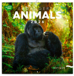 Realsystem Endangered Animals, képes lemeznaptár 2026