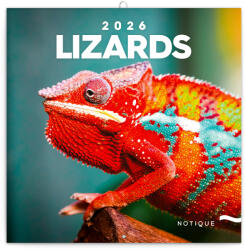Realsystem Lizards, képes lemeznaptár 2026