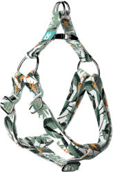 april & june Papagájvirág - Belelépős Kutyahám - Strelitzia - april & june (anj-sih-219-XXS-15-S)