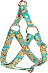 april & june Golden retriever, kék - Belelépős Kutyahám - Golden retriever, blue - april & june (anj-sih-202-XXS-15-R)