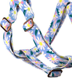 april & june Margaréták - Belelépős Kutyahám - Daisy - april & june (anj-sih-147-XXS-15-R)