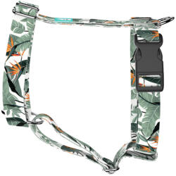 april & june Papagájvirág - Kutyahám és Macskahám - Strelitzia - april & june (anj-h-219-XS-15-P)