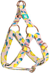 april & june Nyári Citromok - Belelépős Kutyahám - Summer Fresh - april & june (anj-sih-140-XXS-15-R)