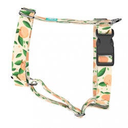 april & june Barack mintás - Kutyahám és Macskahám - Peaches - april & june (anj-h-141-XS-15-P)