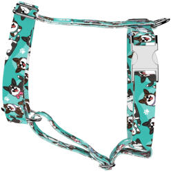 april & june Cardigan Welsh Corgi, kék - Kutyahám és Macskahám - Cardigan Welsh Corgi, blue - april & june (anj-h-227-XS-15-S)