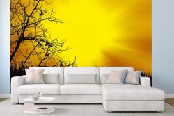 DIMEX ART Самозалепваща се флизелинова фототапета черни дървета 375 x 250 см